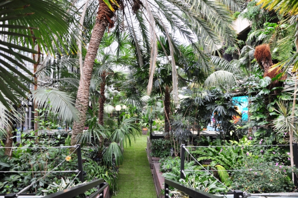 Barbican Conservatory