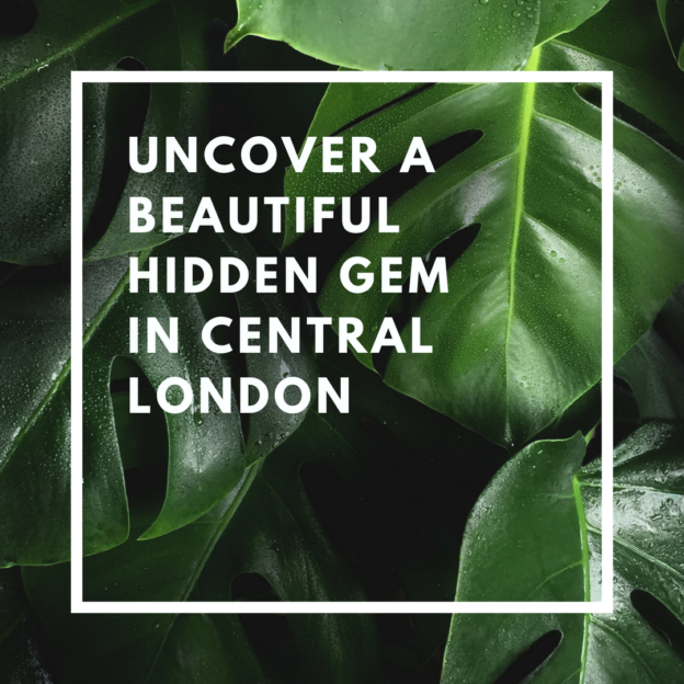 uncover a beautiful hidden gem in central london